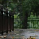 매화청소년문화센터 이미지