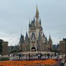 코리아오픈씨 주식회사 | 일본🇯🇵 도쿄 디즈니랜드 오픈런 방문 후기 및 DPA&amp;40주년 패스권 사용방법