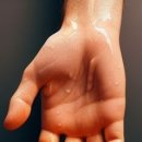 서리풀동의보감한의원 이미지