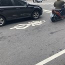 사파동214 이미지