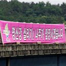 영산강장어 이미지