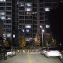 내체력 유도관 이미지