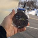 재미나개 | 2026. 03 팀 K리그 런 후기