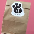 네발총총 이미지