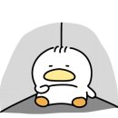 검암동물병원 이미지