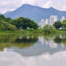 두물머리 이미지