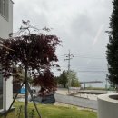 백년기사식당 | [울진] 홍게코스요리 “후포리백년식당” 찐 후기