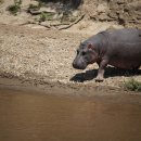마라천국 이미지