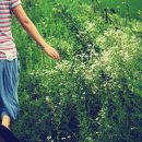 두레모텔 이미지