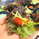 더봉무한장어 | 하단장어 부산하단맛집 : 더봉무한장어