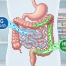 동암가장큰약국 네이버블로그