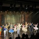 동화발레 <잠자는 숲속의 미녀> | 🩰아이와 함께한 첫 발레 공연, 〈잠자는 숲속의 미녀〉