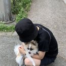 대신양대창 - 당진시 유곡6길 21 | 대신양대창