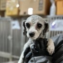 복탄산수 | 미용봉사자님들께서 사랑터를 찾아주셨어요!🙌🍀