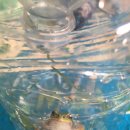 울성낚시터 이미지