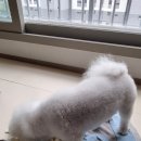 동그리아 이미지