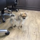원생이들 Daum카페