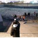 증산초등학교 이미지