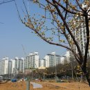 LG빌리지아파트 이미지