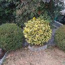 자연속에 둥지펜션 이미지