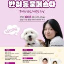 시청 이미지