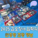 태안호스릴-38 | 안흥항 갑오징어 낚시 개막식(쭈갑낚시 예약은 어바웃피싱 어플로 하자!)