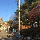 녹번동마을마당 | 은평 구립 도서관, 산 속의 조용한 휴식처