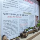 오가리수제비 이미지