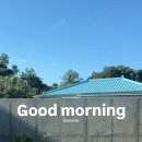 슬로우캣 이미지