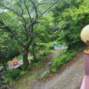 소백산계곡펜션민박 이미지