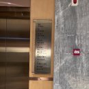 세레인 | [칭다오 호텔] 칭다오 청양 호텔 세레인 유화 호텔 ( Serene Horizon Hotel / 青岛海悦御华大酒店 )