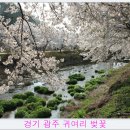 정암의원 티스토리