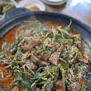 쌍둥이흑염소 이미지