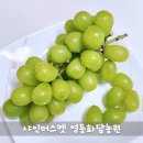 (주)영동스크랩 | 아이가 좋아하는 영동화담농원 샤인머스켓
