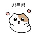 도도 베이커리