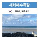 세화국제여행사주 | 제주 동쪽 구좌읍 가볼만한곳 바다 해변 세화해수욕장