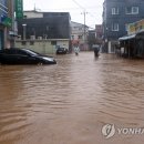 거진시내 이미지