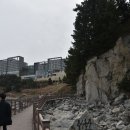 섬바다향기 이미지