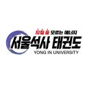 용인대서울태권도장 이미지