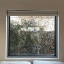 과수원집 소원재 이미지