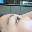 아담&이브 | 대구 왁싱 아담앤이브 속눈썹펌 체험 후기