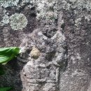 문수초등학교 이미지