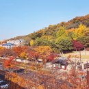 인천지하철1호선 문학경기장역 | 인천 단풍 명소 투썸플레이스 인천문학점 주말 후기