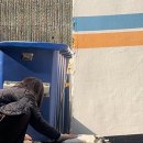 밀림아구탕 | 백지를 내도 백 점