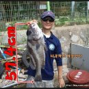 파도 당구장 이미지