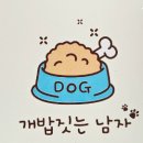 개밥짓는남자 이미지