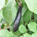 숙희농장 이미지