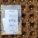 (주)고추와 육종