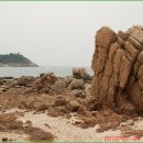왕산리 Daum카페