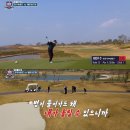 쌍쌍 스포츠경향